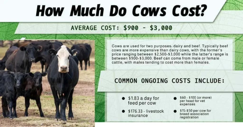 A brief guide to cow cost