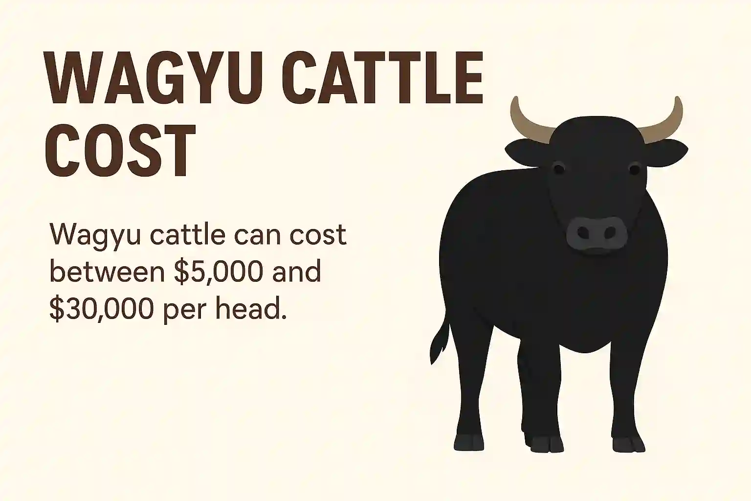 Wagyu cow price