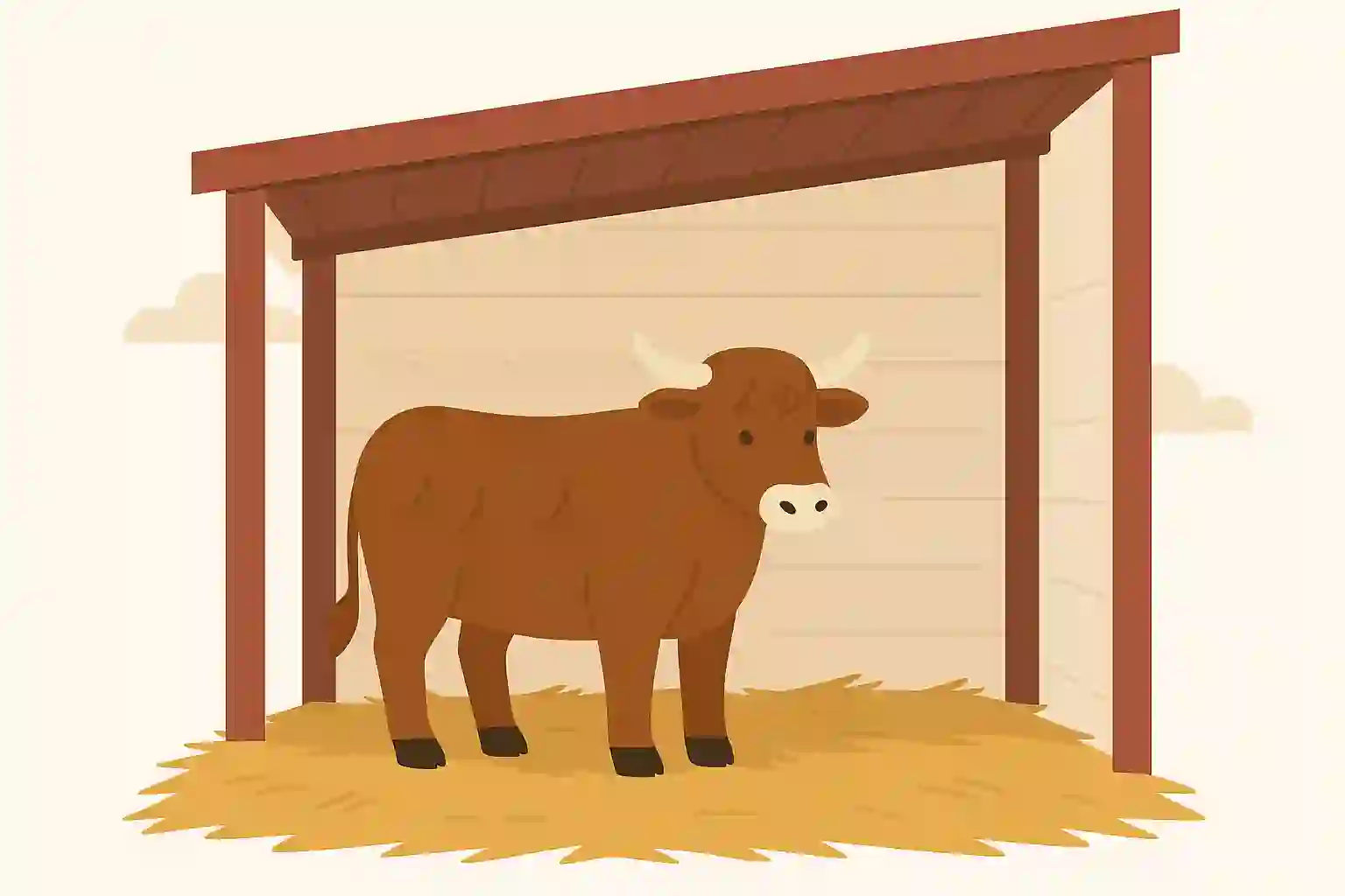 Proper Housing and Shelter