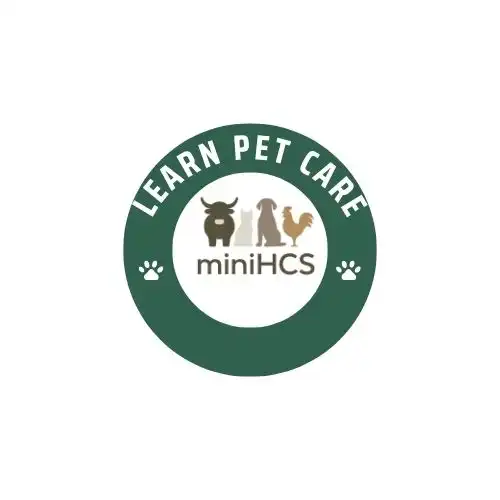 minihcs