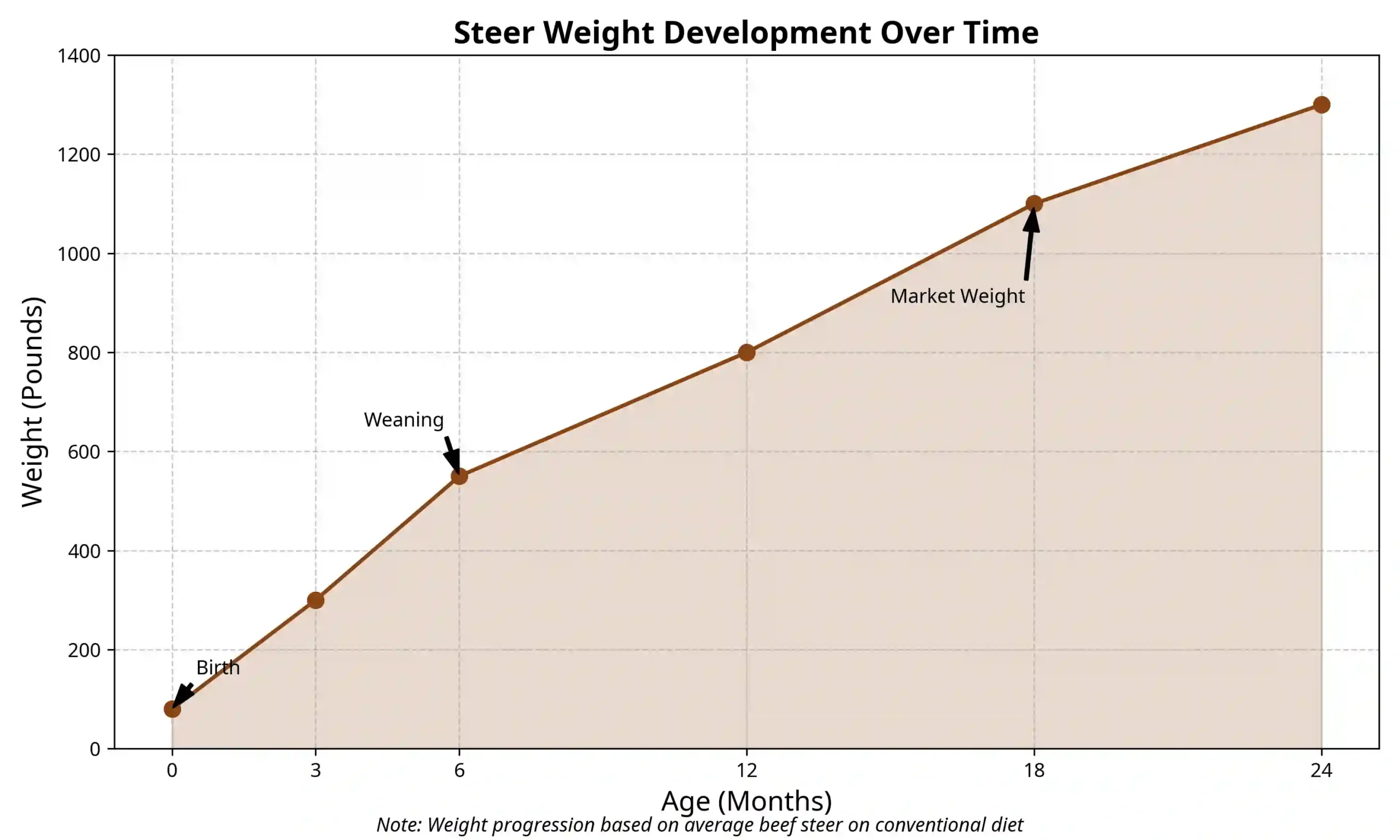 Weight progression